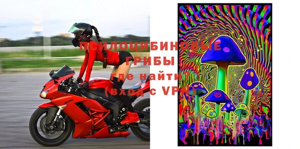 шишки Зеленокумск